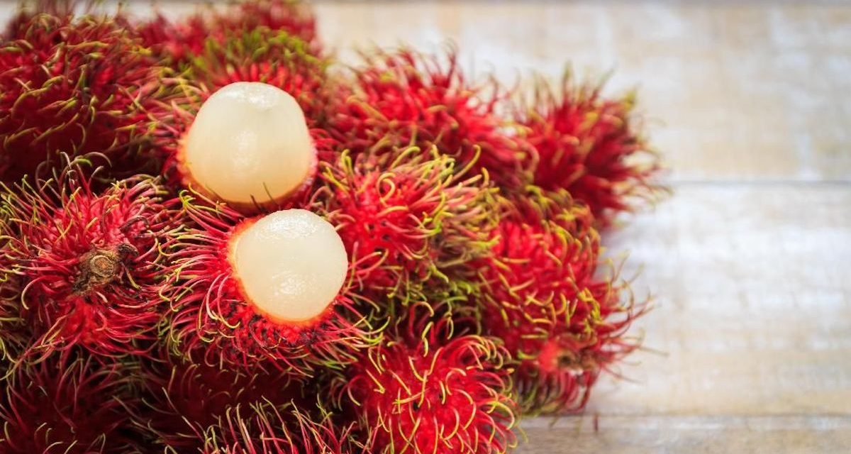 13 Alasan Buah Rambutan Baik Untuk Tubuhmu