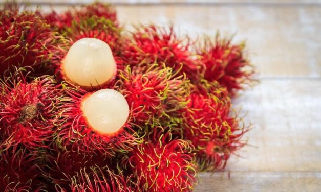 13 Alasan Buah Rambutan Baik Untuk Tubuhmu
