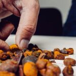 Batu Empedu Sapi Di Australia Harganya Lampaui Nilai Emas