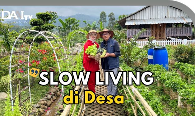 Berkebun Tanpa Capek: Solusi Praktis Untuk Orang Tua Di Rumah