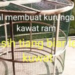 Kandang Ayam Dari Kawat Ram, Cocok Untuk Peternak Pemula