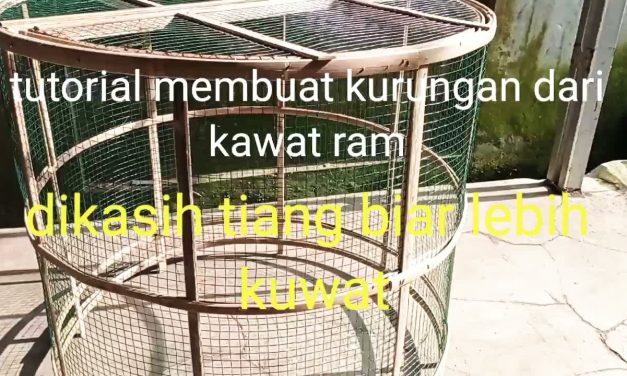 Kandang Ayam Dari Kawat Ram, Cocok Untuk Peternak Pemula