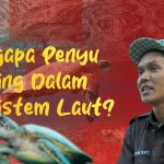 Pentingnya Konservasi Penyu: Menjaga Kelanjutan Ekosistem Laut