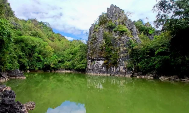 Kolam Air Limbong : Pesona Alam Air Hijau Di Sulawesi Selatan