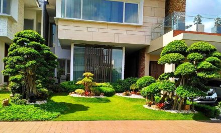 Taman Depan Rumah Anti Gerah: Solusi Bikin Rumah Lebih Dingin