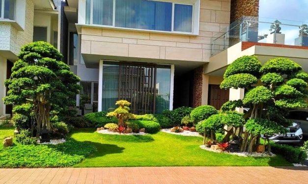 Taman Depan Rumah Anti Gerah: Solusi Bikin Rumah Lebih Dingin