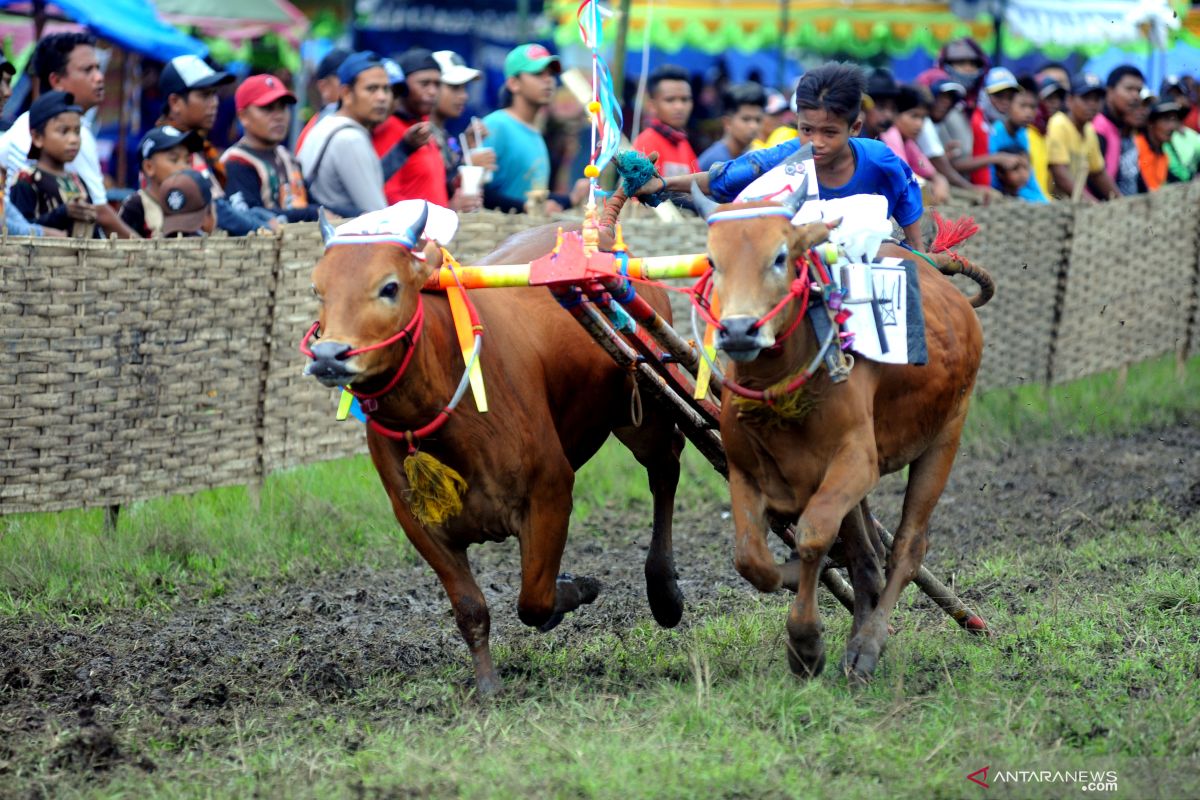 Festival Olahraga